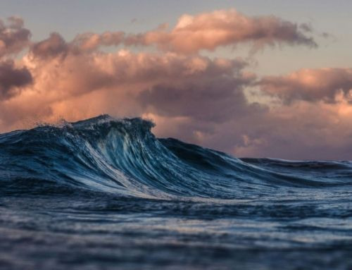 ¡HISTÓRICO! España ratifica el Tratado Global de los Océanos 🌊